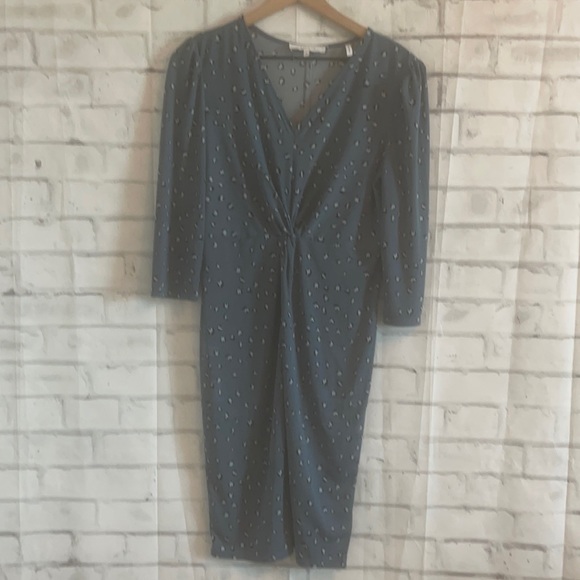 Lark & Ro Blue Cheetah dress - Picture 3 of 5